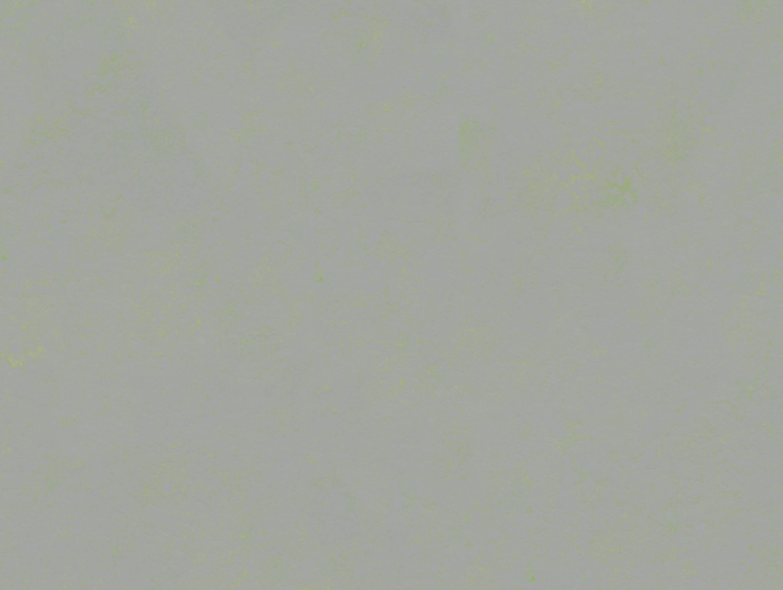 Marmoleum Concrete - 3736 green shimmer